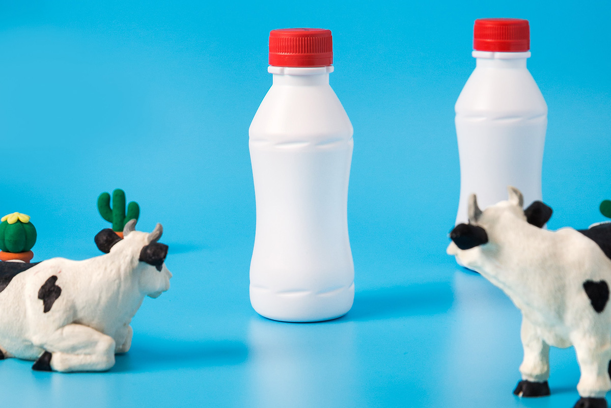 Dairy Products Pack a Nutritional Punch