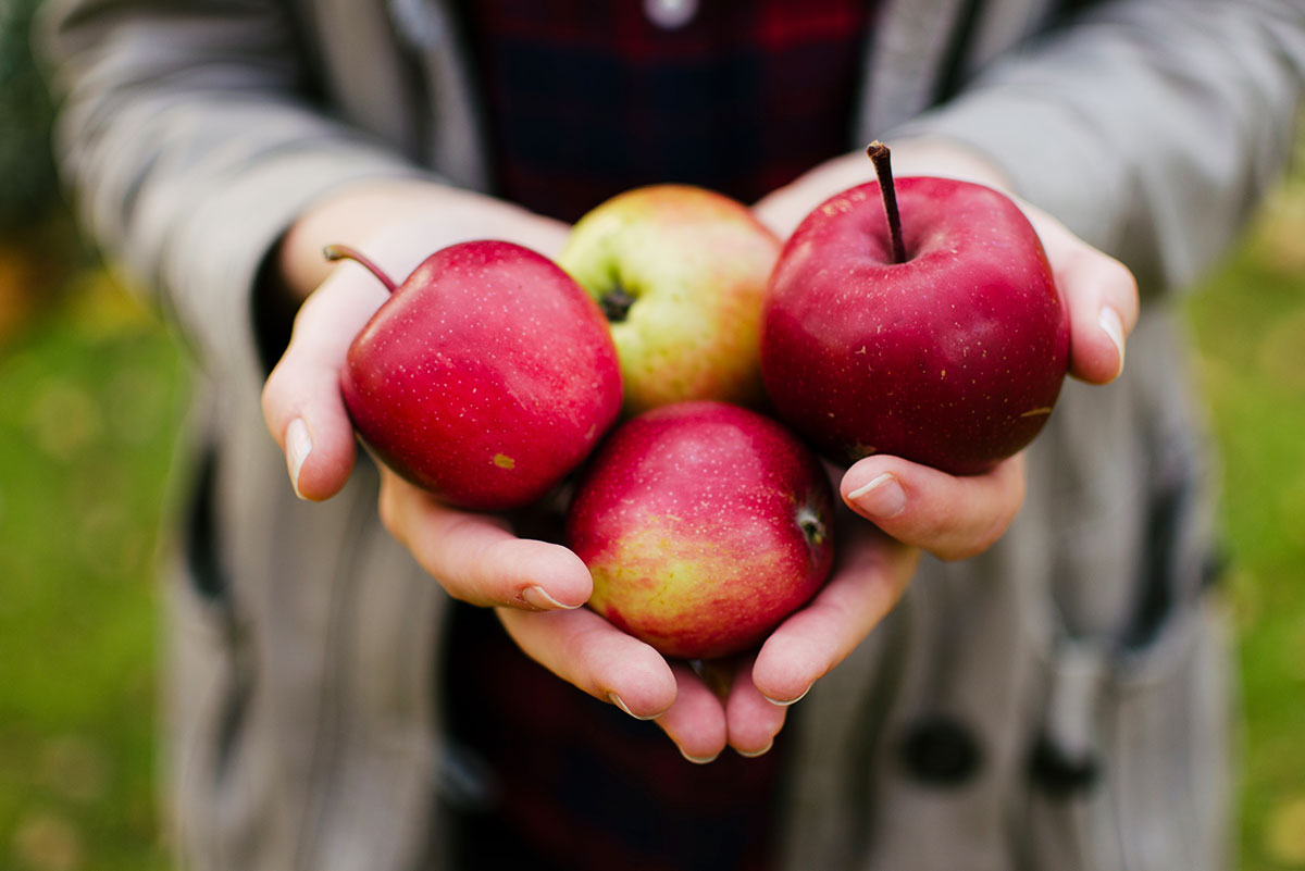Apple season runs from late July to early December.